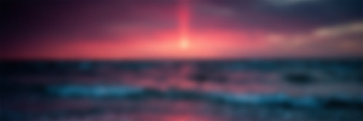 经管皮皮侠数据网