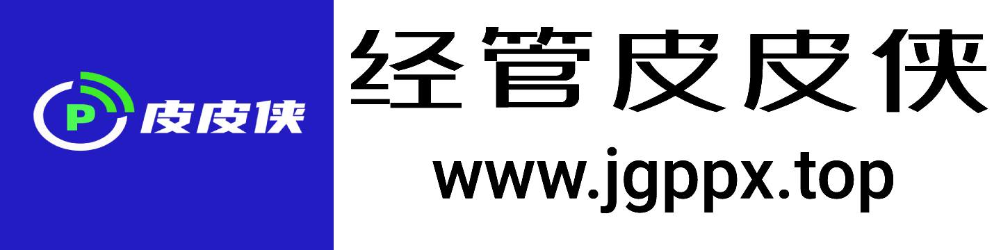 经管皮皮侠数据网