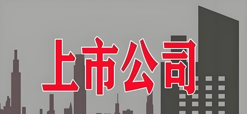 汇总数据 – 上市公司经管皮皮侠数据网-www.jgppx.top皮皮侠数据网