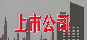 汇总数据 – 上市公司经管皮皮侠数据网-www.jgppx.top皮皮侠数据网