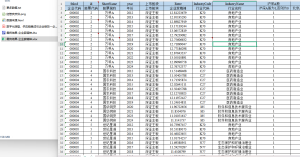 2012-2024年 上市公司-企业家精神 数据（+文献）经管皮皮侠数据网-www.jgppx.top皮皮侠数据网