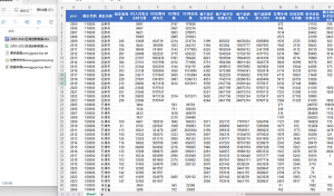 2005-2023年 各省区域创新数据 xlsx+dta经管皮皮侠数据网-www.jgppx.top皮皮侠数据网