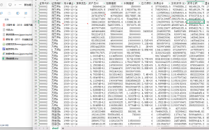 2000-2023年 上市公司融资结构数据+代码+文献经管皮皮侠数据网-www.jgppx.top皮皮侠数据网