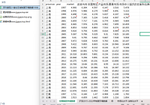 1998-2022年 顶刊复现31省份区域制度环境数据（xlsx）经管皮皮侠数据网-www.jgppx.top皮皮侠数据网