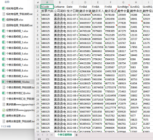 2010-2024年 CMTD中国融资融券数据库 xlsx经管皮皮侠数据网-www.jgppx.top皮皮侠数据网