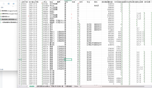 2005-2024年 CEO特征数据CEO基本信息数据 xlsx经管皮皮侠数据网-www.jgppx.top皮皮侠数据网