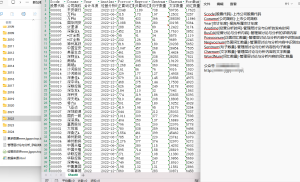 2001-2024年 管理层讨论与分析文本经管皮皮侠数据网-www.jgppx.top皮皮侠数据网