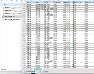 2001-2025年 全国各省、市、县最低工资标准数据（xlsx）经管皮皮侠数据网-www.jgppx.top皮皮侠数据网